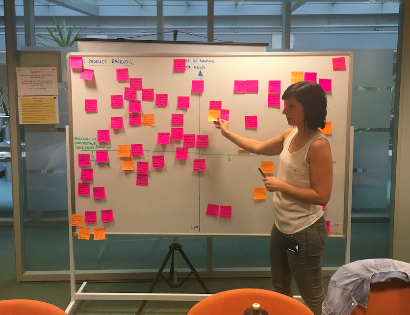 Product manager Sarah with the matrix of user needs